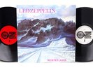 LED ZEPPELIN LIVE AT WINTERLAND 26TH APRIL 1969   RARE BOOTLEG Dbl VINYL/LP NM