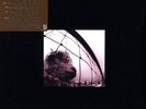 Pearl Jam Vs. Vitalogy +Live at Orpheum 5x LP Vinyl Box Set +3CD NEW