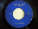 THE PASTELS What can I say / Why don't you love me