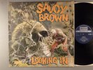 Savoy Brown  Looking In    UK Press