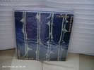 TYPE O NEGATIVE OCTOBER RUST 1ST PRESS ORIGINAL DOUBLE LP PARADISE LOST RARE1996