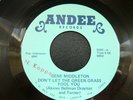 GENE MIDDLETON - Don't Let The Green Grass - No One To Love - ANDEE Original 45