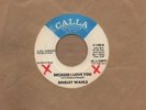 Shirley Wahls - Because I Love You - Calla Demo