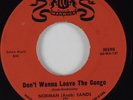 Instr. R&B Rocker Tittyshaker 45 NORMAN SANDS Don't Wanna Leave...WARWICK HEAR