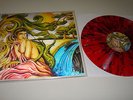 Pulling Teeth Paranoid Delusions lp 3D cover /333 Converge American Nightmare