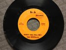 The Vestells - Won't You Tell Me? RARE 1966 GARAGE FUZZ 45 on BO JO