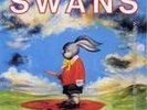 The Swans White Light From The Mouth of Infinity Double LP