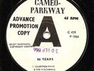QUESTION MARK & THE MYSTERIANS 96 TEARS ? CAMEO PARKWAY 1966 ADVANCE PROMO DEMO