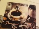 Nirvana Promo Pennyroyal Tea 7