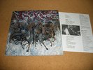 NO MERCY Widespread Bloodshed Love Runs Red LP on Suicidal records tendencies