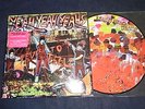 YEAH YEAH YEAHS FEVER TO TELL PICTURE DISC Free Shipping with Tracking Number