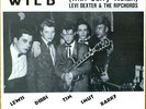 THE ROCKATS - GO KAT WILD - VERY RARE 1980s ROCKABILLY LP