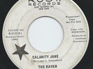 MONSTER 1960s Garage Fuzz PROMO 45 - THE RAVEN 