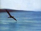 CHICK COREA - RETURN TO FOREVER - 180 GRAM (ECM) LP NEW