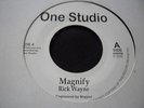 7 INCH RICK WAYNE MAGNIFY KILLER RAS MUFFET PRODUCTION 2001 ONE STUDIO LABEL