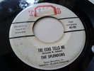 THE SPLENDORS RARE DOO WOP ON TAURAUS LABEL 45-101 THE ECHO TELLS ME HEAR