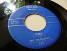 THE YOUNGSTERS DANNY ZELLA RARE DETROIT ROCKIN INSTRO SHO-BIZ ZEBRA HEAR