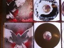 Converge No Heroes Complete 6 LP First Press Incl. Custom Mailer Bannon RARE