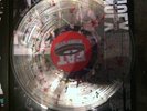 NOFX Self Entitled Store Exclusive Fat Wreck Lagwagon No Use For A Name /150