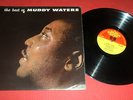 MUDDY WATERS 