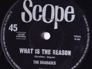 SHARADES: WHAT IS THE REASON/LOVE MINUS ZERO AUSSIE SCOPE 009 EX/EX-  1967