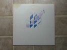 Mazeville Crossing with Scott Bruning private press folk rock lp