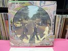 JAPAN PICTURE DISC THE BEATLES ABBEY ROAD
