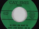 R&B Mod/Deep Soul 45 JAMES LYNN MARSH Do What You Want To GAY SHEL NM HEAR