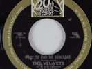 Northern Soul 45 VEL-VETS I Got To Find Me Somebody 20TH CENTURY FOX HEAR
