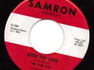 GARAGE-- the FIVE FLYS----HEAR BOTH--1966--SAMRON--PENNSYLVANIA