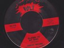 DOROTHY WILLIAMS watchdog / closer to my baby SOUL 45 on VOLT
