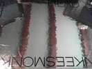Monkees - HEAD - Foil Sleeve RARE - Colgems COSO-5008
