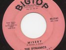 the DYNAMICS misery ZOOT SUIT 45 the Who R&B mod HEAR ??