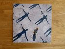 Muse - Absolution vinyl LP