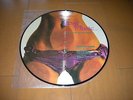ROXY MUSIC tokyo tour PICTURE DISC live 83 BRYAN FREEY