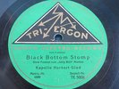 78 RPM MADE IN GERMANY TRI ERGON PHOTO ELECTRO RECORD KAPELLE HERBERT GLAD PARIS