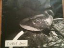 Tigers Jaw S/T LP Screen Printed 17/50 Vinyl Title Fight Balance And Composure