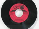 Jah Skerta And Dream - Darkness / Bullwackie's All Stars - Vision. Wackies 0101