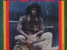 Errol Flabba Holt, Roots Radics & Agrovators - Roots Radics Dub UK orig LP ??