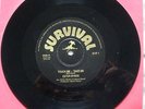 Ester Byrde Touch Me Take Me sister funk 45 Survival breaks