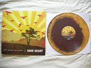 Have Heart The Things We Carry 1st Press  /640 Verse Terror Bane In My Eyes