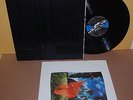 LP  Pink Floyd WISH YOU WERE HERE 1977 [orig.black shrinked] SWEDEN PRINT ois