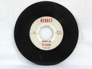 THE ORPHANS Without You / Hey Gyp HERBST 527 Al's Untouchables UNRELEASED GARAGE