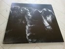 Warloghe - The First Possession - vinyl LP - , behexen