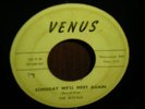 Doo-Wop    -   ROYALS