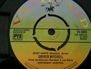 GROVER MITCHELL    WHAT HURTS    VANGUARD  VS 5003   EX  CON