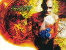 Tiamat A deeper kind of slumber 2-LP Vinyl Neu Paradise Lost, Type o Negative