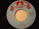 THE WEEKENDS (GG) RINGO / Want You LE MANS 001 TEENER Beatles Novelty 45 Record