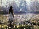 Catherine Howe - What a beautiful place - Reflection - NM - Orig UK