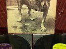 ALICE IN CHAINS Alice In Chains Record LP COLUMBIA Records C2 67248 ORIGINAL
